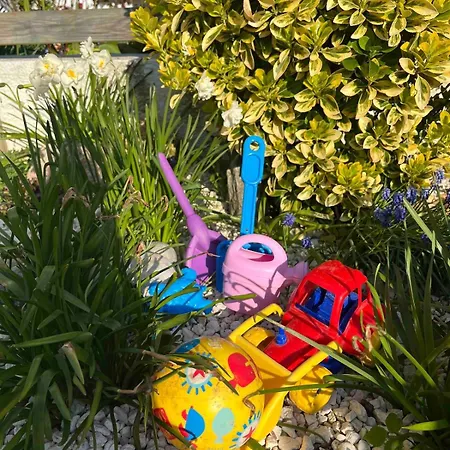 Le Des Dunes 4 Pers Avec Jardin Proche De La *